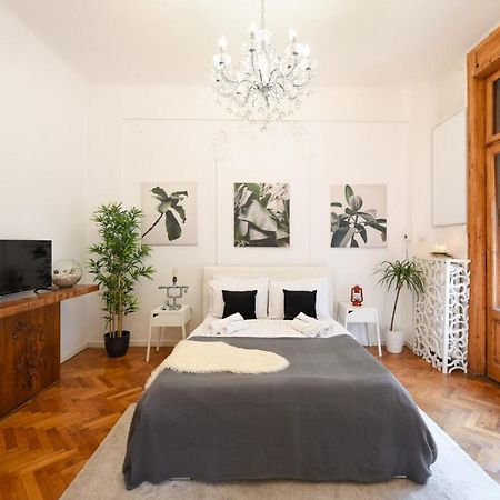 Vintage Elegance, Modern Comfort: 1Br Apartment Overlooking Calea Victoriei Бухарест Экстерьер фото