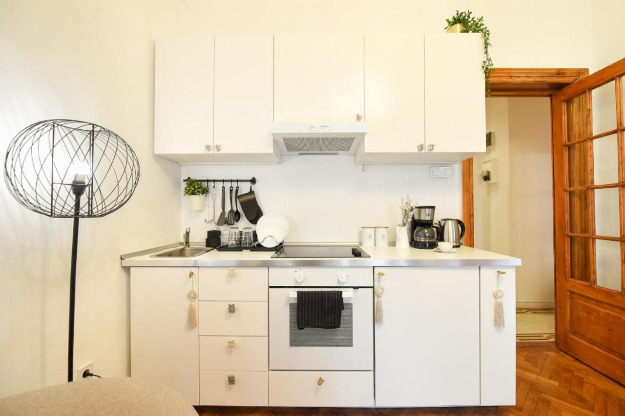 Vintage Elegance, Modern Comfort: 1Br Apartment Overlooking Calea Victoriei Бухарест Экстерьер фото