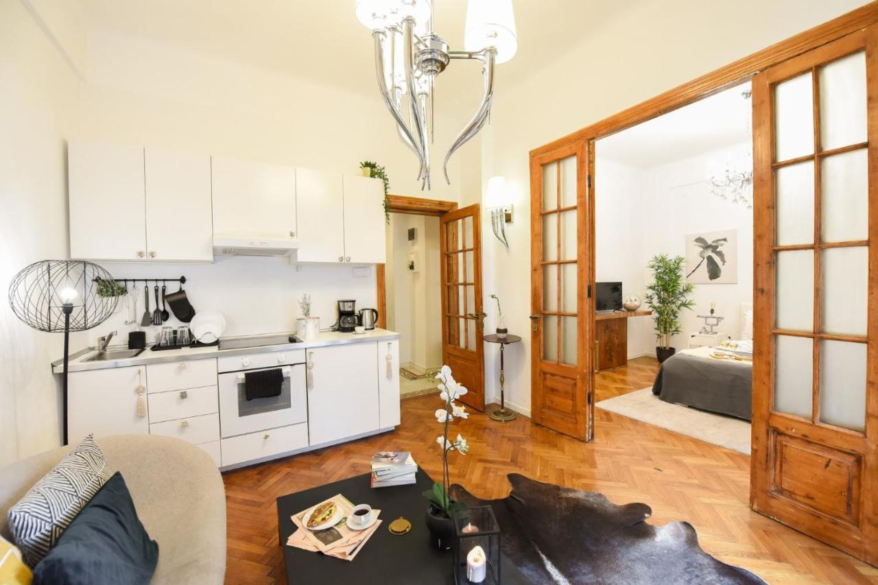 Vintage Elegance, Modern Comfort: 1Br Apartment Overlooking Calea Victoriei Бухарест Экстерьер фото